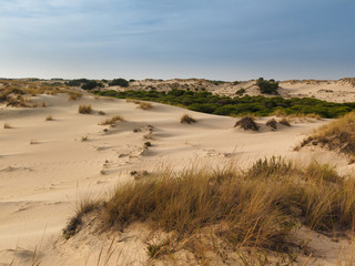 Dunes next to the ocean in Doñana national park in huelva, Andalusia, Spain.