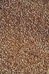 Full frame of dry raw buckwheat seeds.