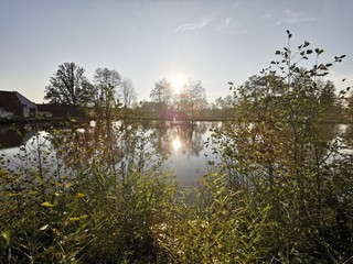 Obraz premium reflection of trees in water