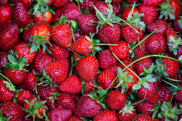 Strawberry. Fresh organic berries macro. Fruit background.