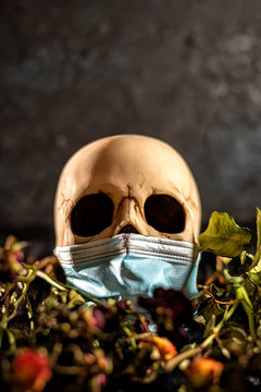 Human skull with surgical mask surrounded by dried flowers on black background. Death from coronavirus concept.
