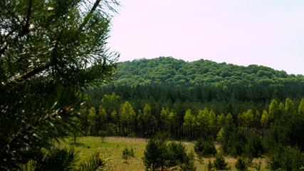 Obraz premium View of the Sokolich Mountains Reserve. Free entry space.