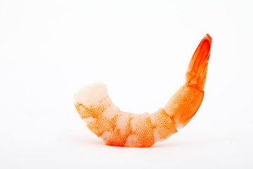 One fresh shrimps isolated on white background.  Tiger shrimp tail on white.