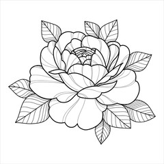Hand drawing flower for greeting card, invitation, Henna drawing and tattoo template. Vector illustration