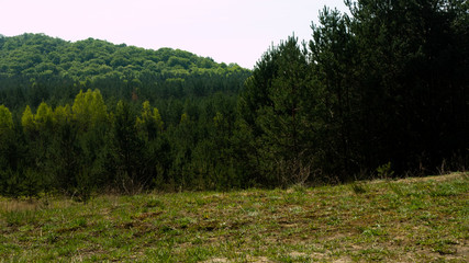 Fototapeta na wymiar View of the Sokolich Mountains Reserve. Free entry space.