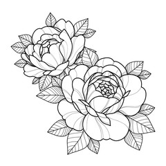 Hand drawing flowers for greeting card, invitation, Henna drawing and tattoo template. Vector illustration