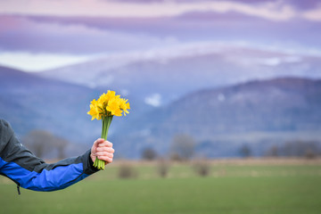 The man hands the woman a bouquet of yellow narcissus on the background of mountains. © Castigatio