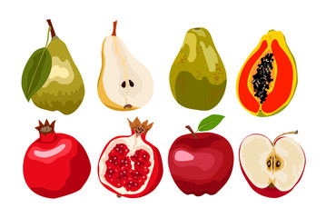 Fresh fruits vector collection. Set of sweet fruits for health. Design for greeting card, recipe, menu, poster.