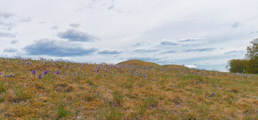 The Royal Mounds (Kungshogarna) three large barrows located in Gamla Uppsala. Archeological site in Sweden near Stockholm.
