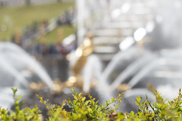 Fountain in summer day on street. Spray is flying around. No recognizible people. Water splashes fly in all directions. Bushes on first plan and waterworks on second in bokeh. Free space. Cityscape.