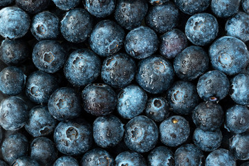 Fresh blueberries with water drops closeup. Berries background. Top view.