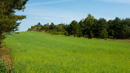 
View of the Sokolich Mountains Reserve. Free entry space.