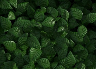 Naklejka na ściany i meble Green leaves background 3d rendering