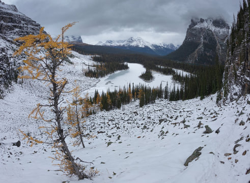 From above snowy mountains and sloppy valley with evergreen forest in overcast day