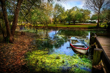 Boat on bayou of Vermillonville historical village - obrazy, fototapety, plakaty