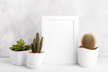 Succulents and picture frame