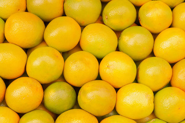 a lot of organized oranges 