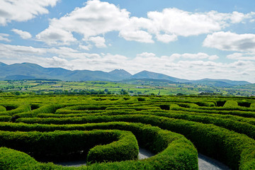 Castlewellan Peace Maze in Castlewellan, Northern Ireland. Mourne Mountains in the background