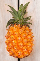 a ripe and nature tropical pineapple
