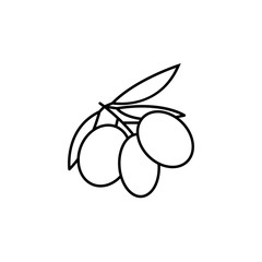 olive line illustration icon on white background