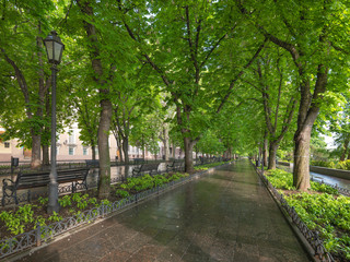 view to Primorsky boulevard with green trees and nobody in the morning in Odessa in Ukraine