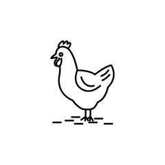 chicken line illustration icon on white background