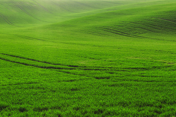 green field