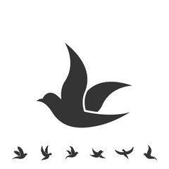 dove bird icon vector illustration design