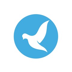 Obraz premium dove bird icon vector illustration design