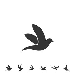 dove bird icon vector illustration design