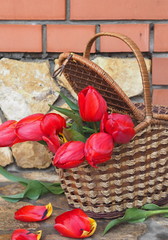 Fototapeta na wymiar Floral spring background.Bouquet of flowers in a basket near a brick wall.
