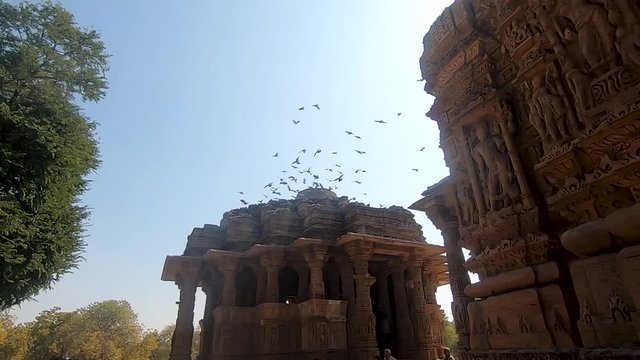 Pigeons above the Sun Temple at Modhera, Gujarat, India