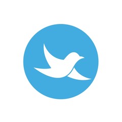 flying bird icon vector illustration design