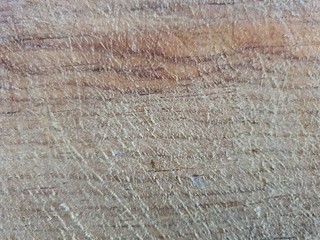 texture of wood