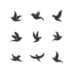flying bird icon vector illustration design