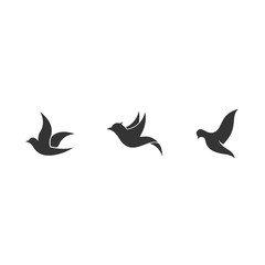 flying bird icon vector illustration design