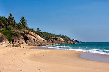 seashore with palm trees and big stones. India. Kerala.