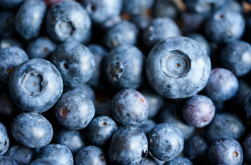 Close up of blueberries in a bowl, natural background