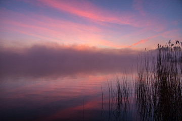 Nebeliger Morgen am Erlensee bei Halte (Ostfriesland)