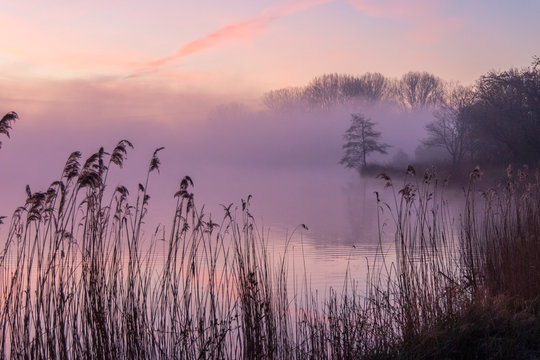 Nebeliger Morgen am Erlensee bei Halte (Ostfriesland)