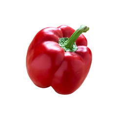red paprika isolated on white