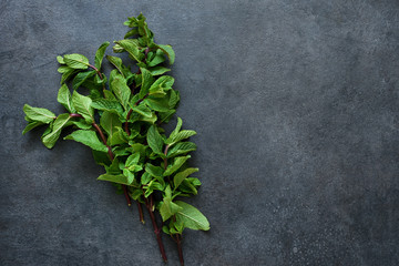 Green, fresh mint on a black concrete background. View from above.