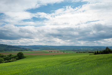 Fototapeta na wymiar Landschaft und Ackerbau im Sauerland bei Hespecke