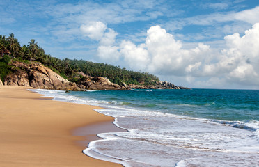 seashore with palm trees and big stones. India. Kerala.