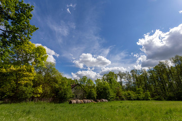 Obraz premium Farmstead at a beautiful meadow near the village Ocsa, Hungary