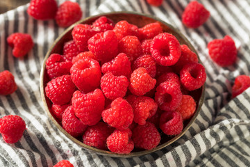 Raw Organic Red Raspberries