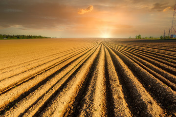 Simple country landscape with plowed fields and blue skies. Furrows row pattern in a plowed land...