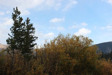 Fall colors in rocky mountains colorado