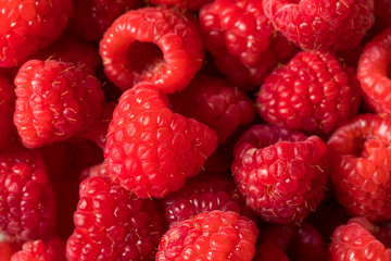 Raw Organic Red Raspberries