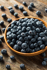 Raw Blue Organic Blueberries
